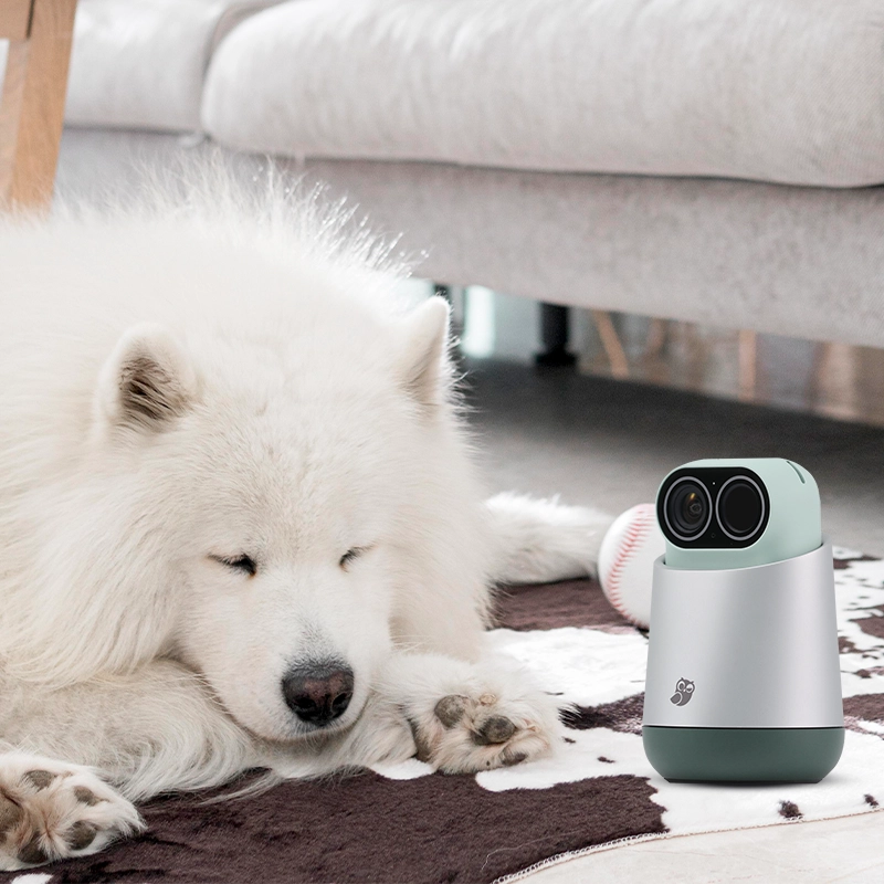 Dipo Mology Magic Camer for pet monitoring