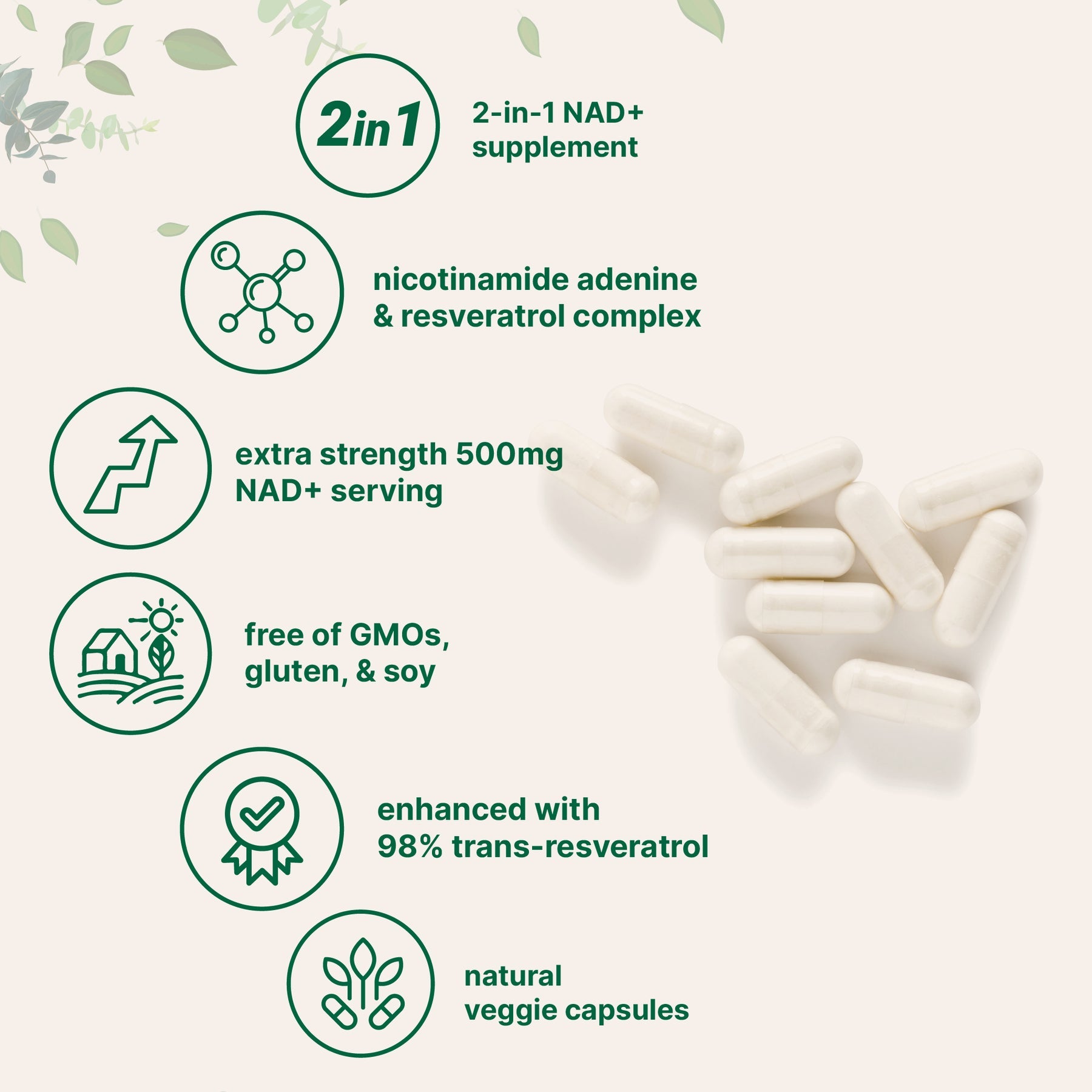 2 In 1 NAD+ Supplement 500mg with Resveratrol
