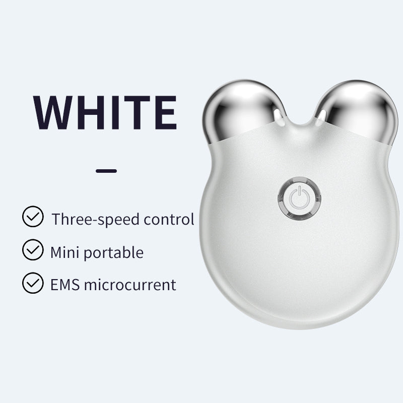 Mini Micro Current EMS Beauty Instrument