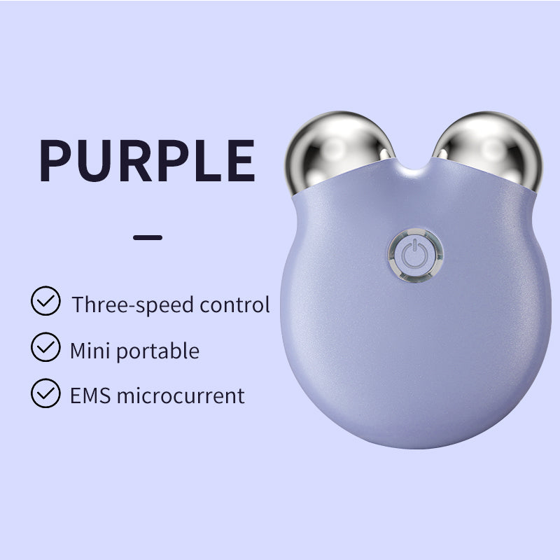 Mini Micro Current EMS Beauty Instrument